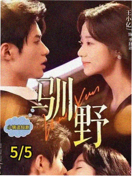 电视剧城市边缘在线观看封面